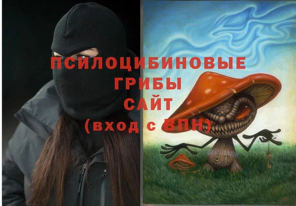 прущий лед Рославль