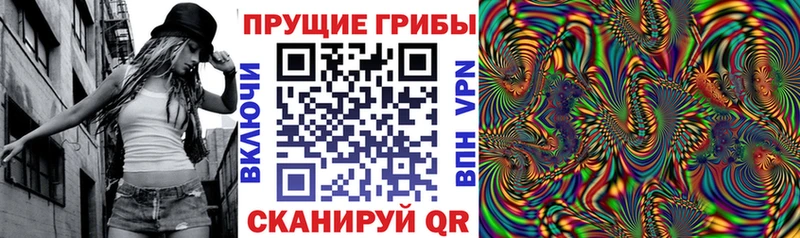 Галлюциногенные грибы Cubensis  как найти закладки  Котельники 